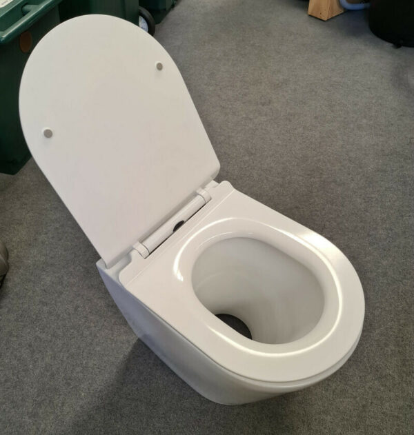 ‘Oslo’ Porcelain Pedestal with Deluxe Slow Close Seat - Green Loo ...